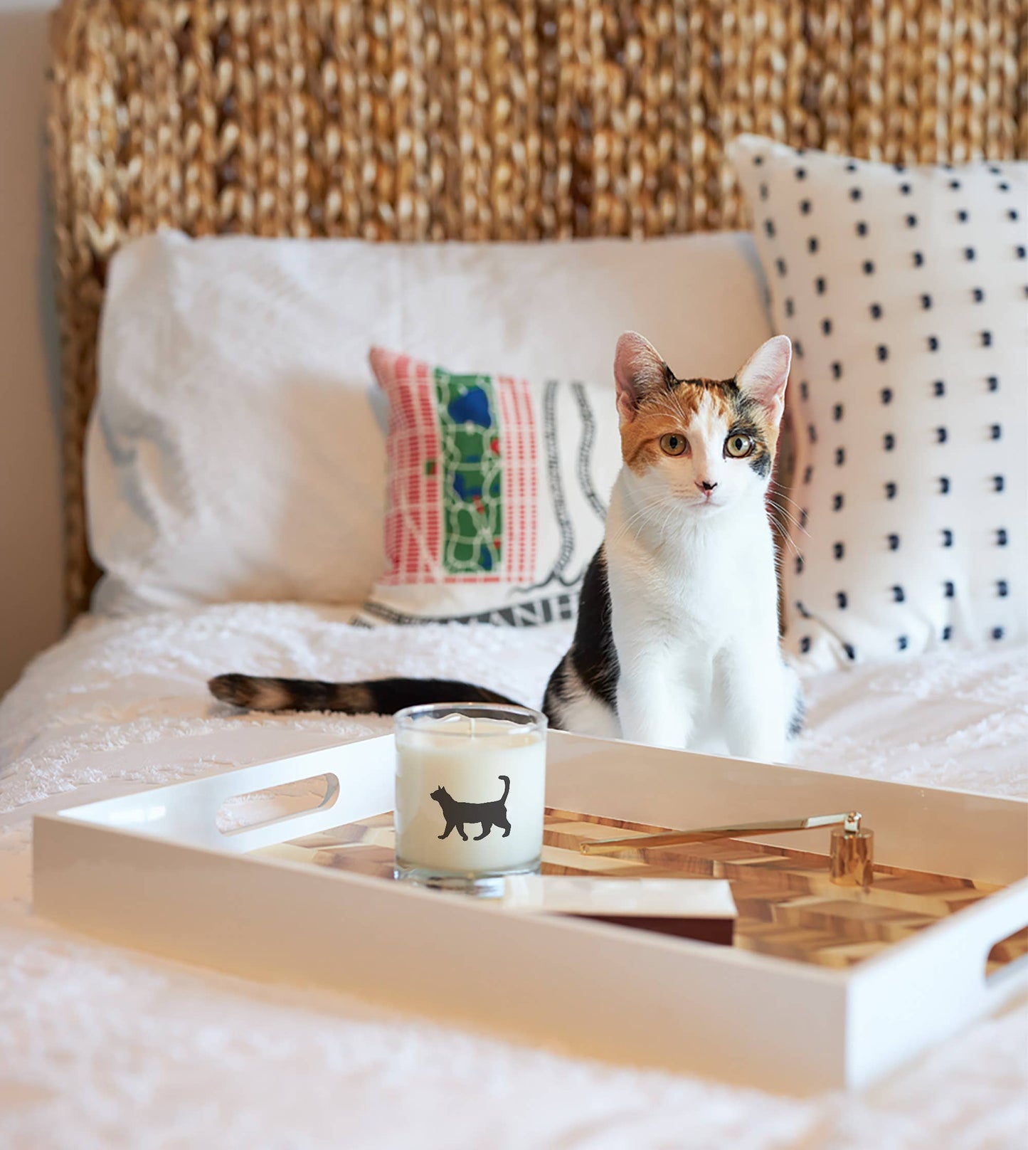 Cat Pet Soy Candle