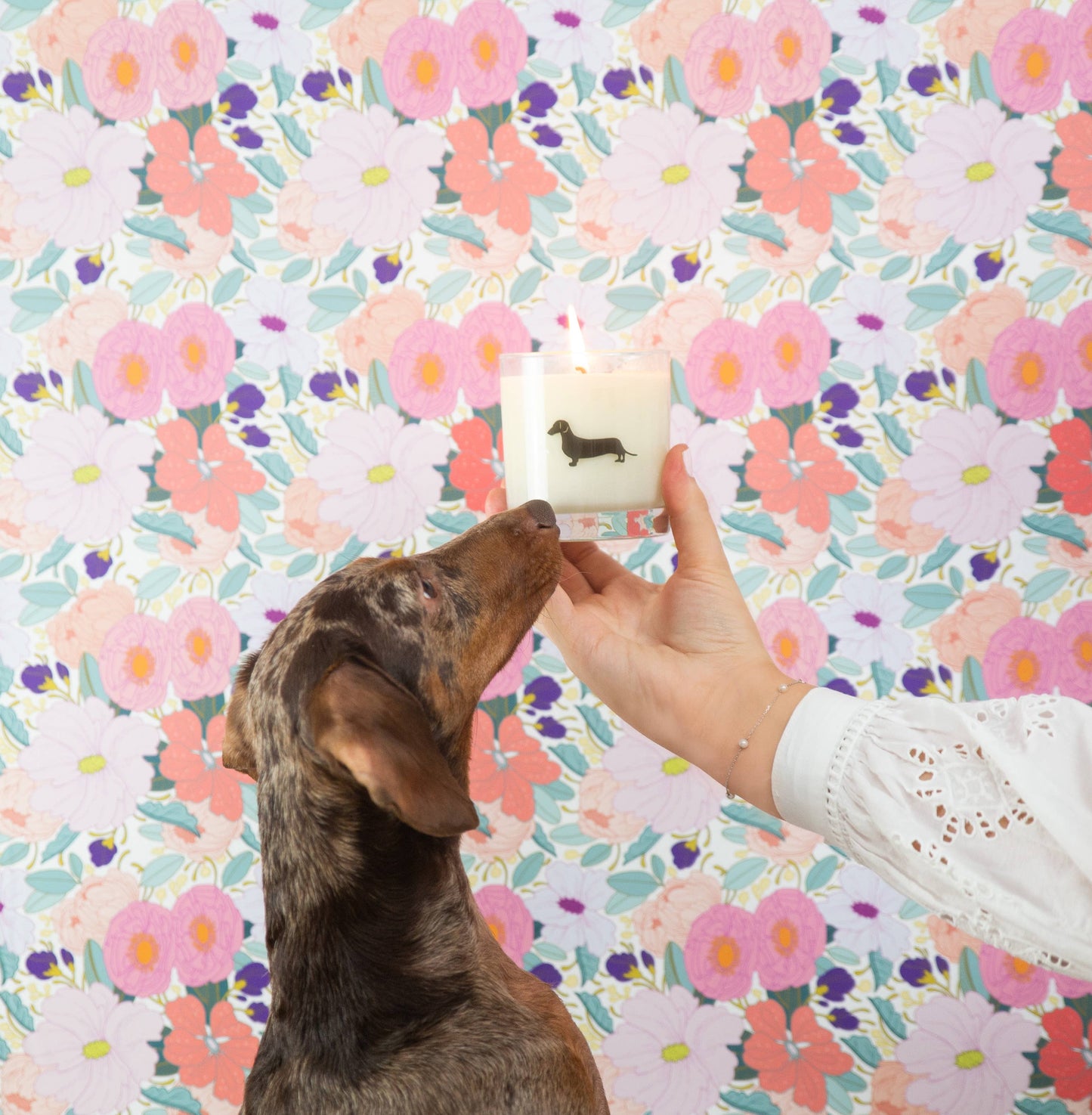 Dachshund Dog Breed Soy Candle- READ PRODUCT NOTES