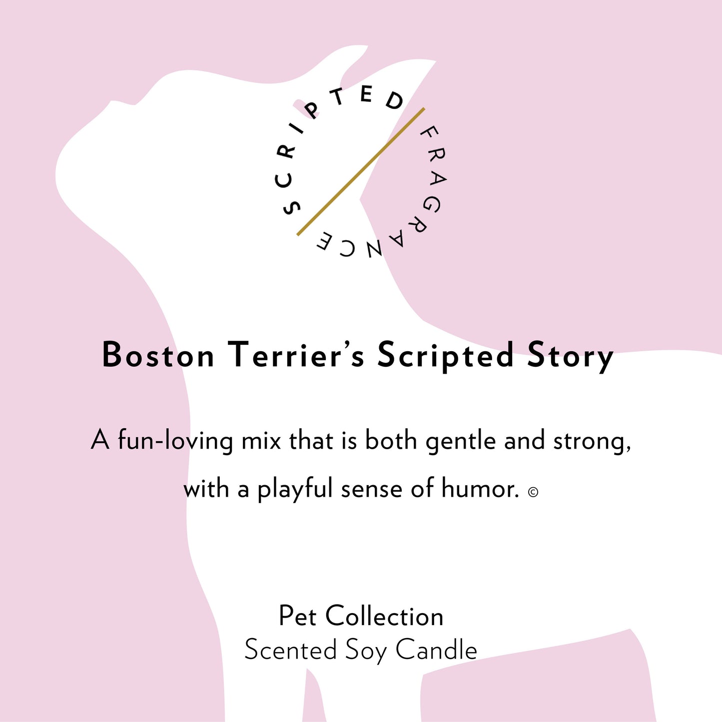 Boston Terrier Dog Soy Candle in Drinking Glass Two-In-One