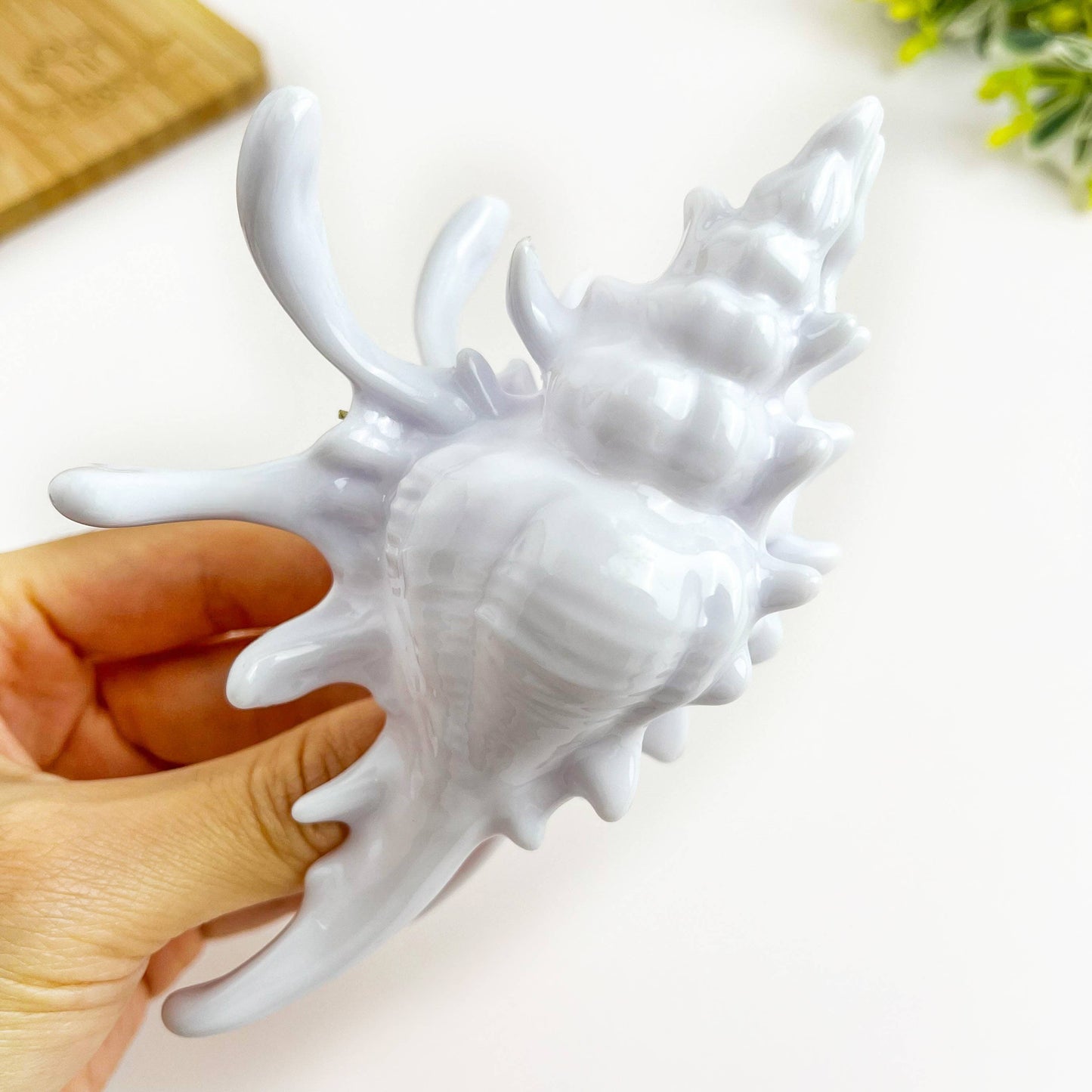 L'Atelier Collection Conch Shell Claw Clip