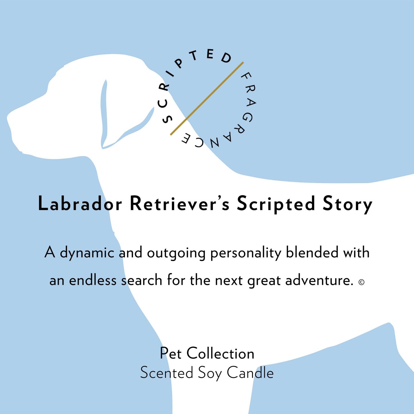 Labrador Retriever Soy Candle in Drinking Glass Two-In-One
