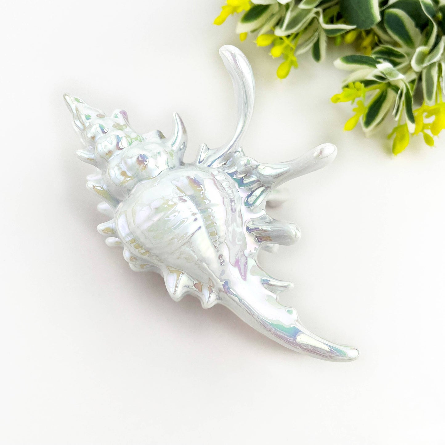 L'Atelier Collection Conch Shell Claw Clip
