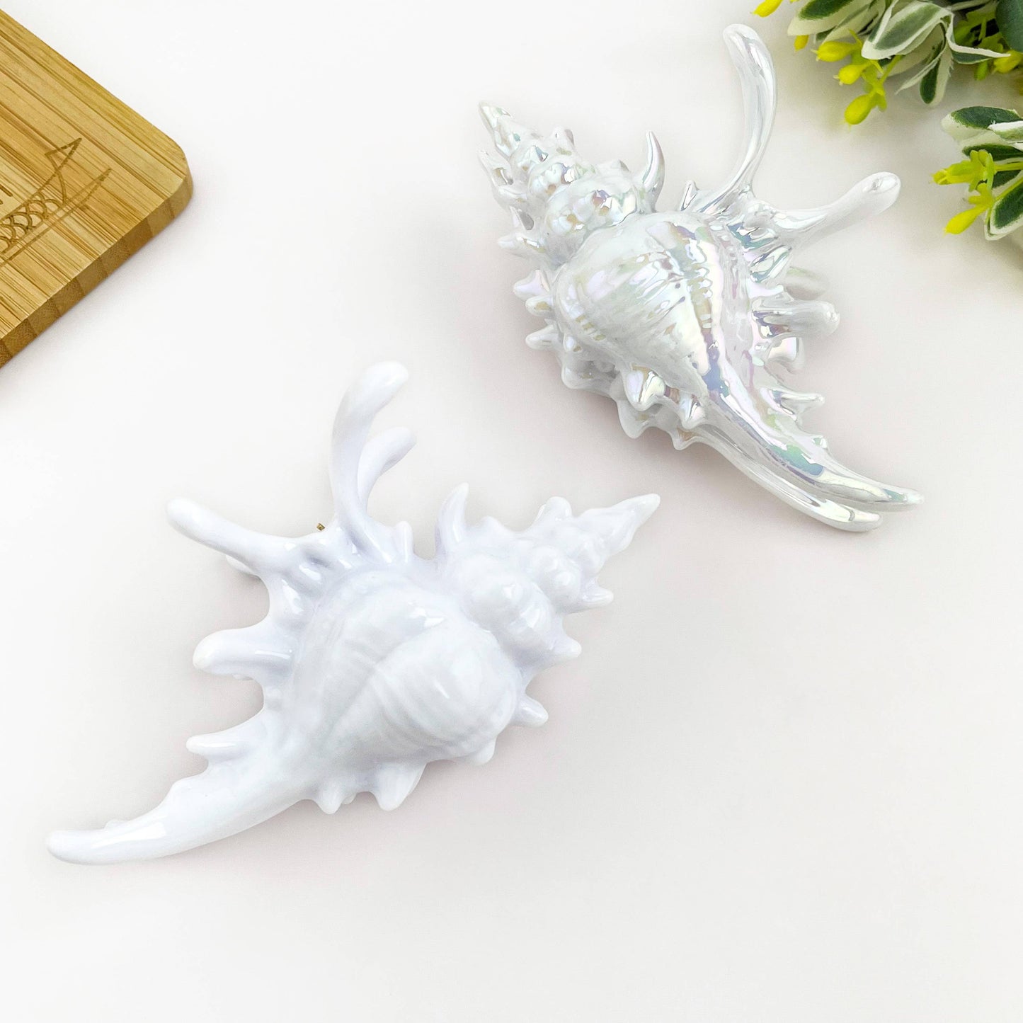 L'Atelier Collection Conch Shell Claw Clip