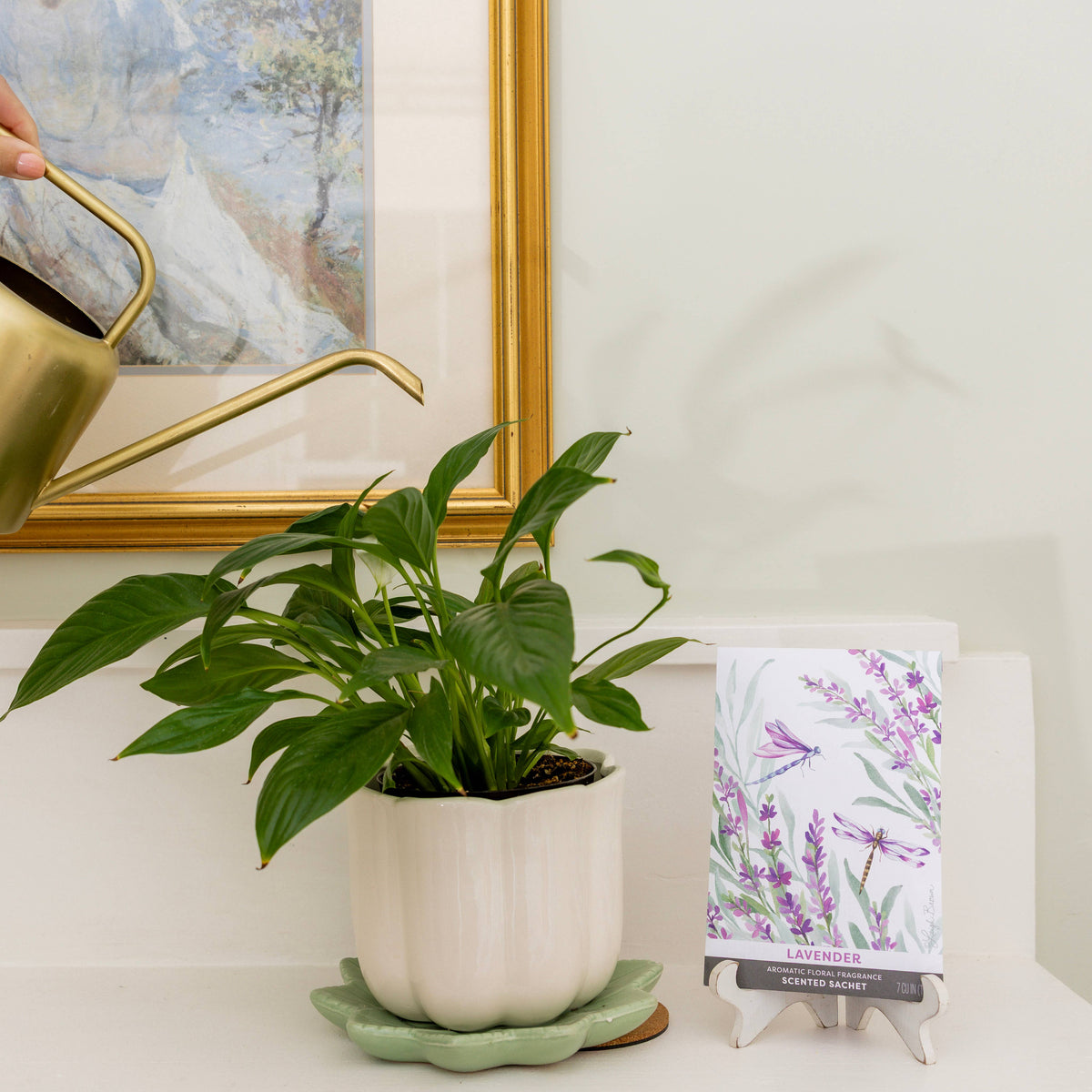 Fresh Scents | Lavender Sachets | Everyday Refresh