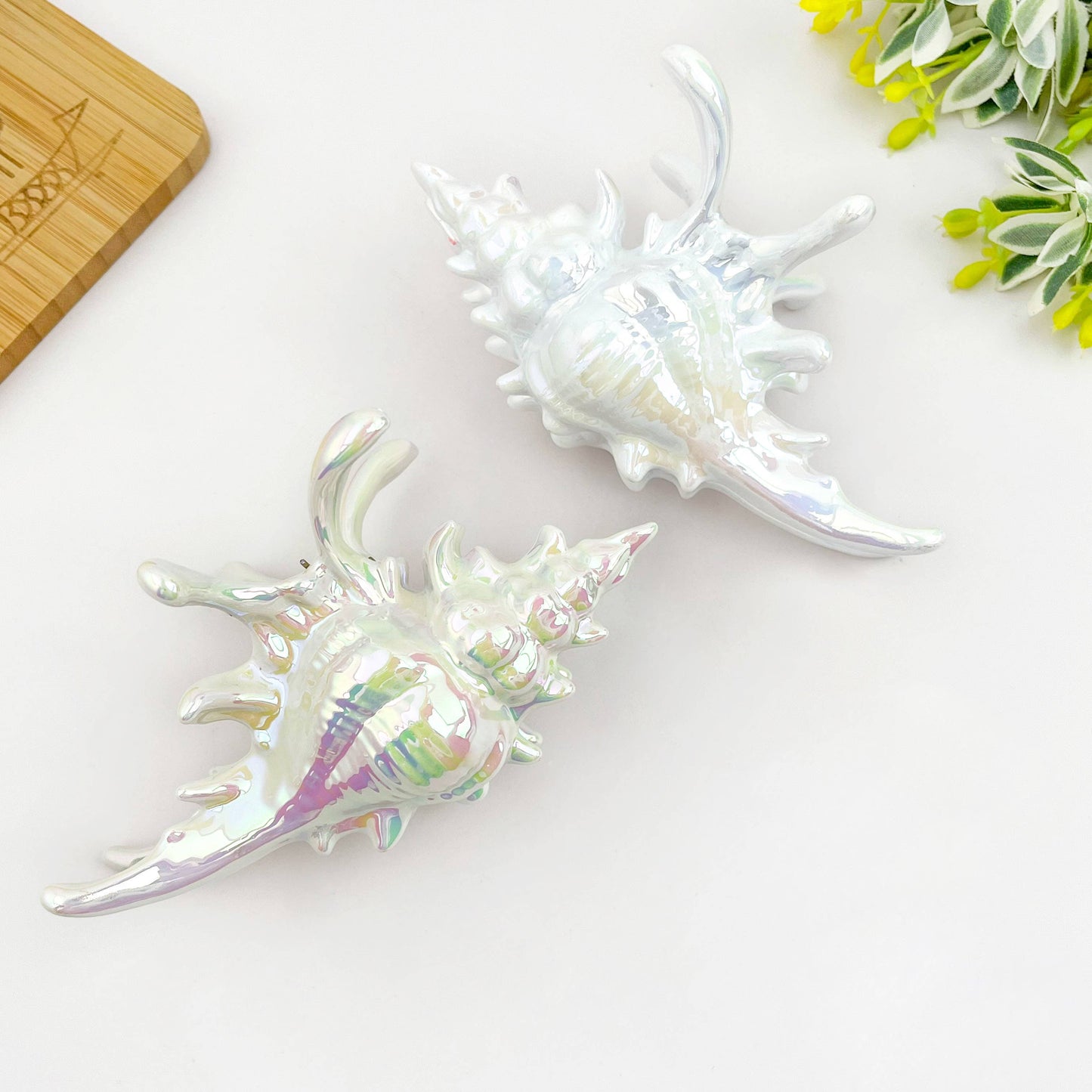 L'Atelier Collection Conch Shell Claw Clip