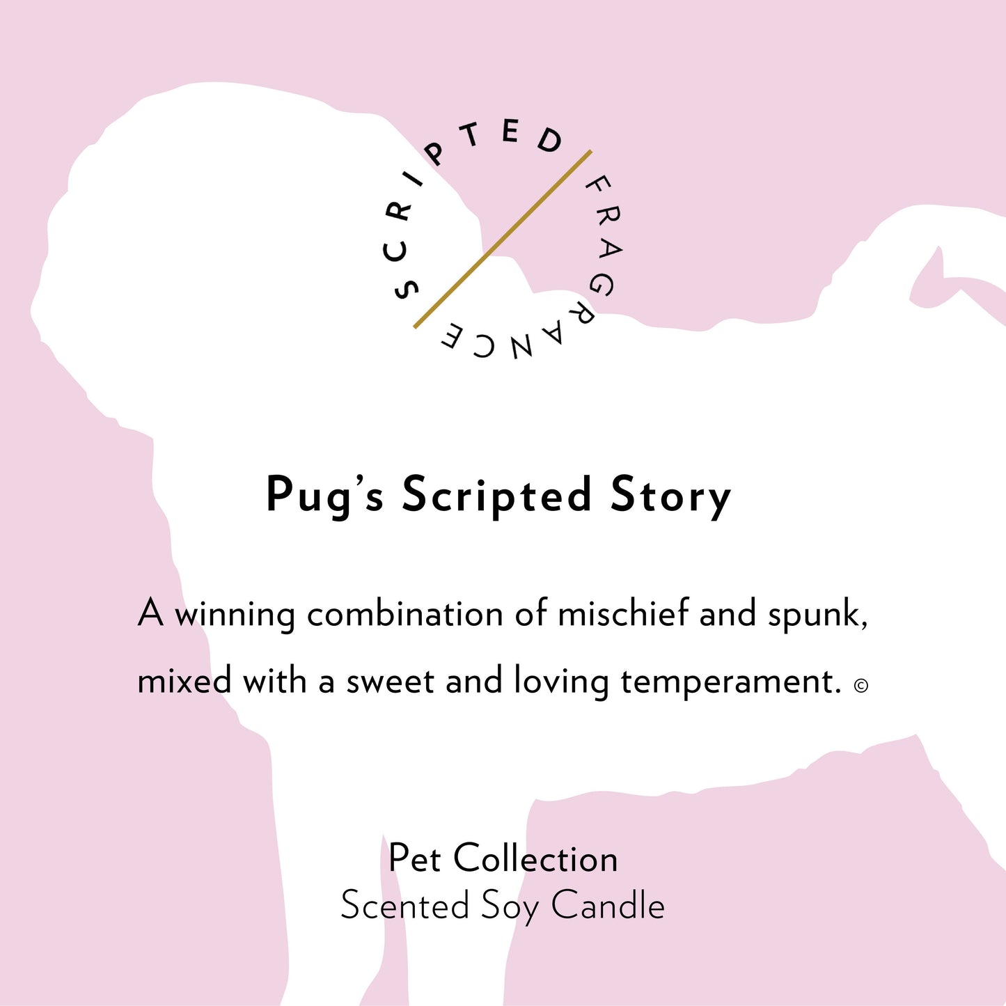 Pug Dog Soy Candle in Drinking Glass Two-In-One Gift