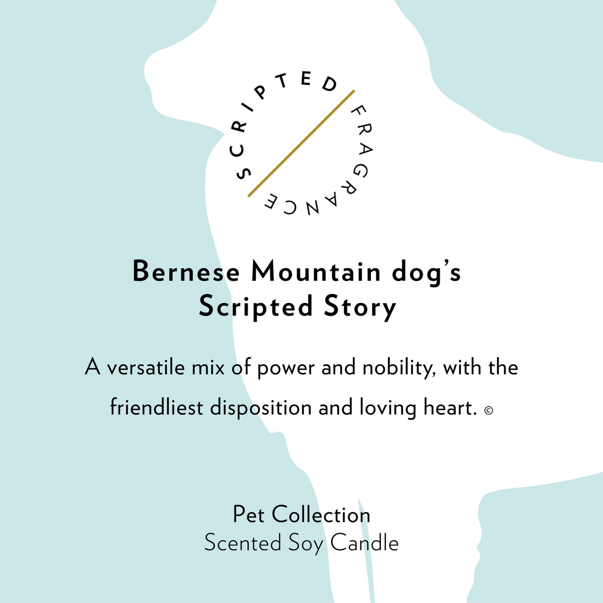 Bernese Mountain Dog Soy Candle in Drinking Glass Two-In-One