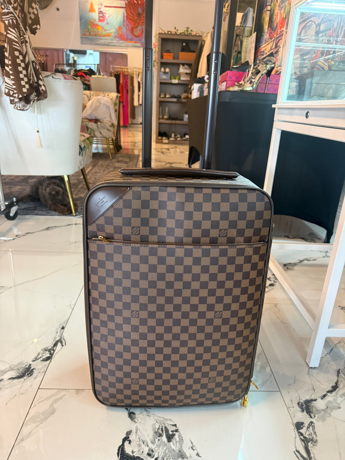 Louis Vuitton Damier Ebene Pégase Roller Luggage | Luxury Pre-Owned | #287