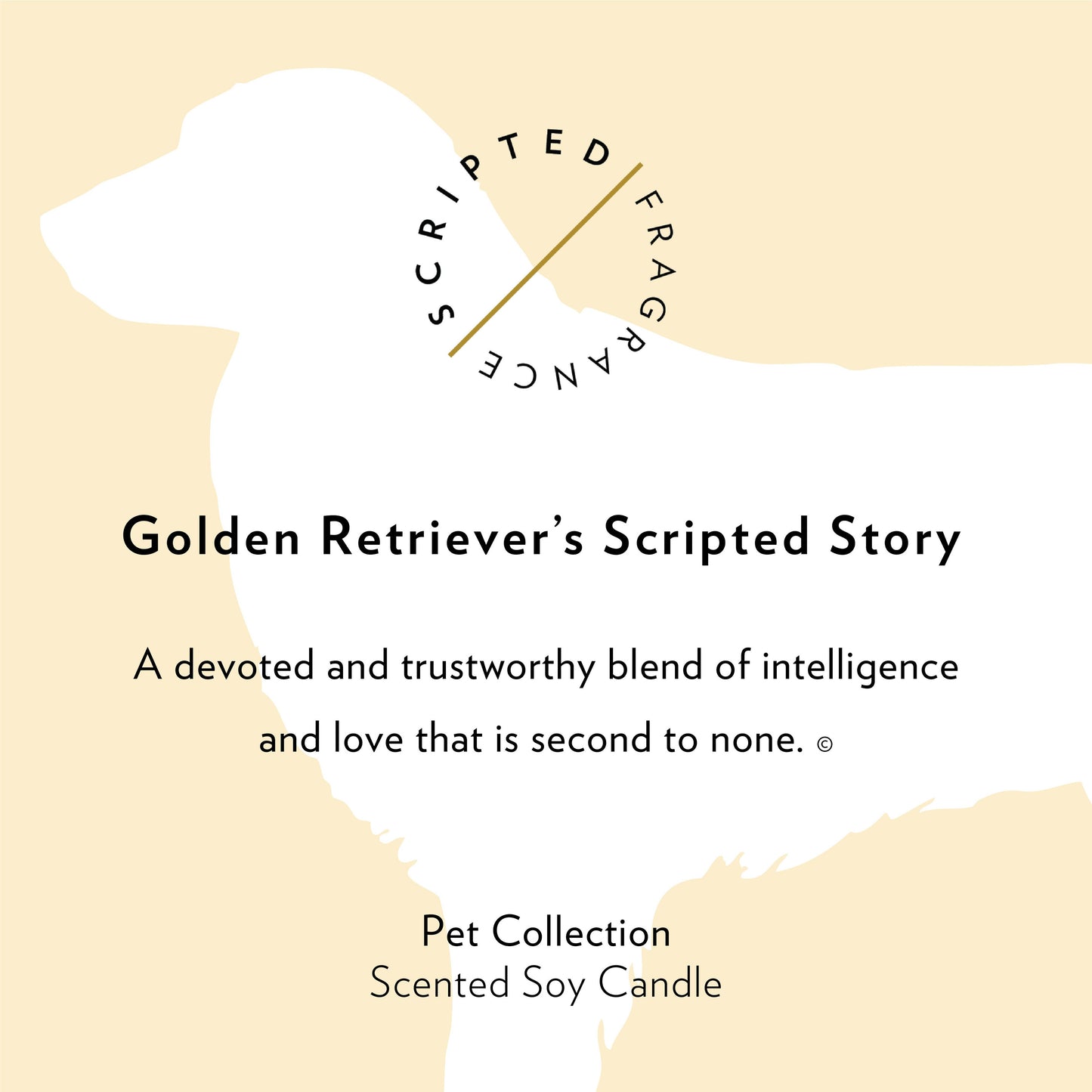 Golden Retriever Dog Breed Soy Candle