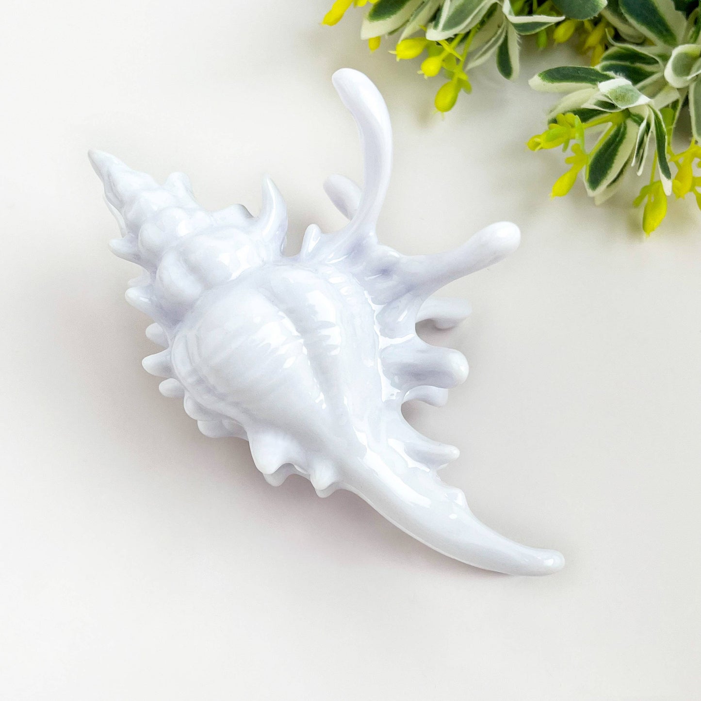 L'Atelier Collection Conch Shell Claw Clip