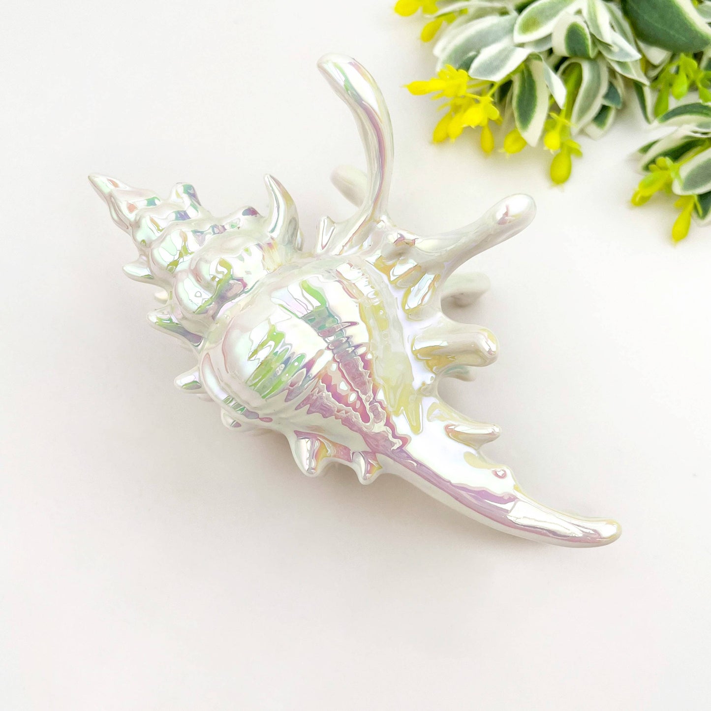 L'Atelier Collection Conch Shell Claw Clip