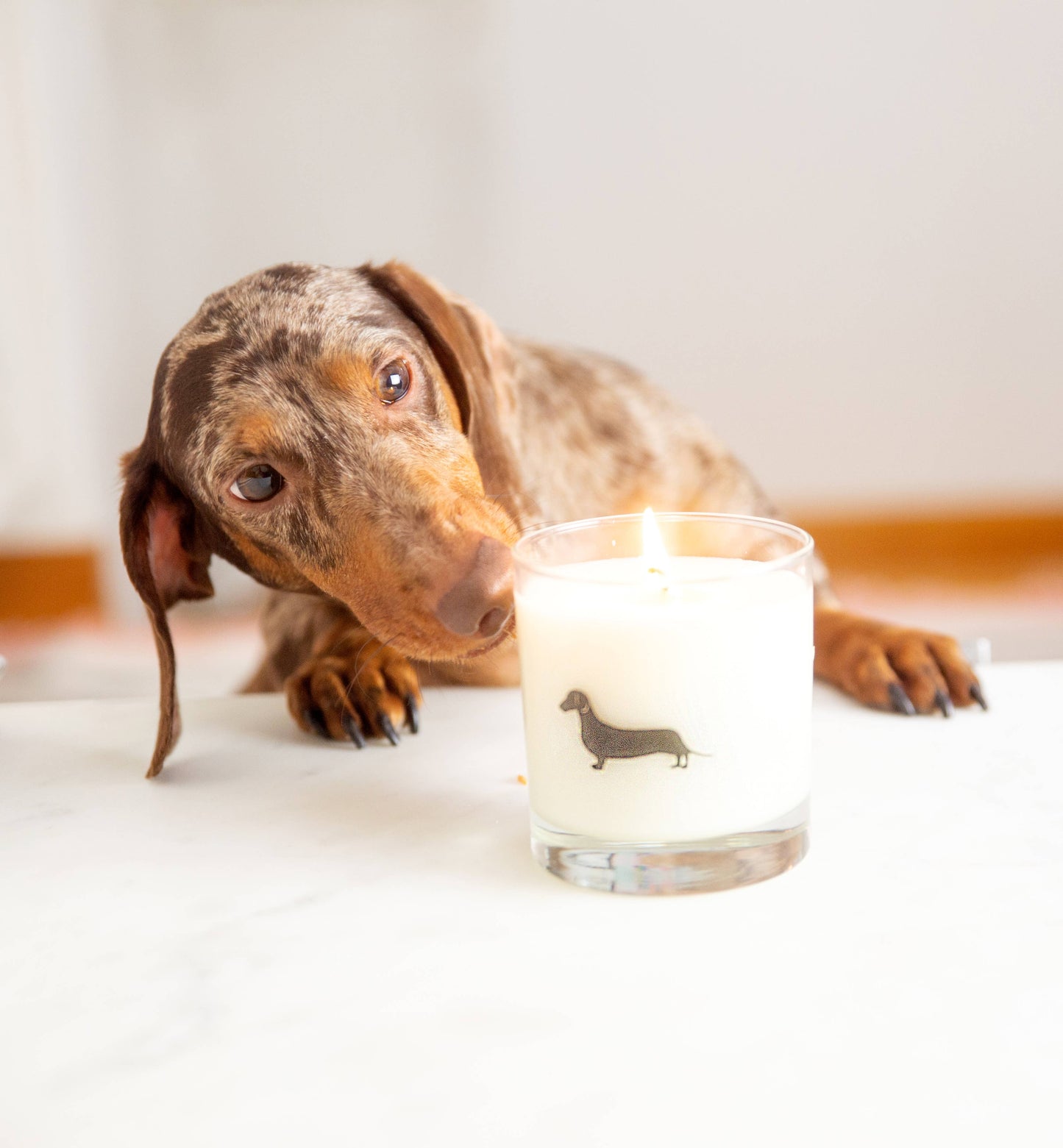 Dachshund Dog Breed Soy Candle- READ PRODUCT NOTES